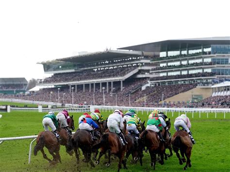 betting at cheltenham today|Cheltenham Festival » Full Race Schedule and Best Odds Listings.
